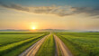 Beautiful scenery of straight country road and green farmland natural scenery at sunrise.