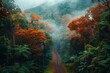 temperate deciduous forest, Autumn forest orange red ancient forest and pine carpet oak beech maple tree willow mysterious colorful leaves trees nature changing seasons landscape Top view background