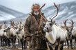 an elderly man is a reindeer herder with a herd of deer in the tundra on a pasture.