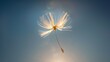 Close-up of a single dandelion stamen high in the air on a sunny day, with light sky background and extreme depth of field.