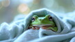 A green tree frog in a blanket. A green tree frog waking up from hibernation in early spring. Spring background. Close up. Generative AI