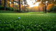 golf ball on grass