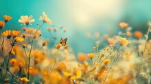 Beautiful Meadow With Yellow Flowers And Butterfly. Vintage Filter. Summer Concept