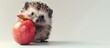 A cute hedgehog is holding a juicy apple in its mouth on a white isolated background. The hedgehog looks whimsical and adorable as it enjoys its snack.