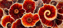 Abstract Rock Art Collage Background Of Gerbera Daisy Flowers In Bloom With Vibrant And Vivid Petals In A Beautiful Rustic Red And Orange Color.