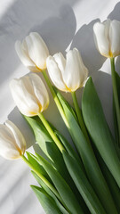 white tulip flowers bouquet on marble table background with aesthetic natural sunlight shadows, life