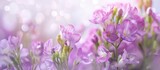 This close-up shot showcases a bunch of vibrant purple freesia flowers blooming in full splendor. The delicate petals stand out against a clean white backdrop, highlighting their intricate beauty.