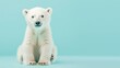 A cute polar bear cub sits on a blue background. The cub is looking at the camera with its big, round eyes. Its fur is white and fluffy.
