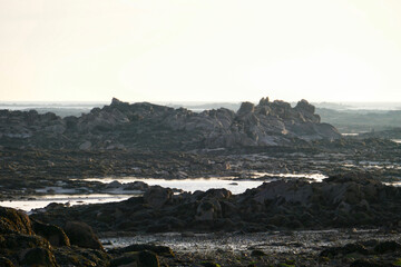 Wall Mural - Panoramic view of the tidal zone in La Rocque, Jersey