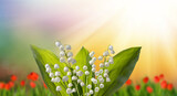Fototapeta Kuchnia -  beautiful white lily of the valley flowers. Spring bouquet of lilies of the valley