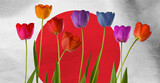 Fototapeta Kuchnia - beautiful multi-colored tulips on the background of the flag of Japan close-up