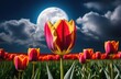 fool moon tulip with clouds. international women's day, mother's day, march 8, flowers, bouquet of tulips, fields of flowers