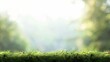 Fluffy green moss against a beautiful blurred natural landscape background in a long panorama, embodying the concept of a cozy autumn mood