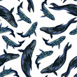 Seamless pattern with whales texture for fabric. Watercolor drawing of an underwater mammal.
