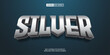 © Supriyadi - Editable 3d text style effect - Silver text effect Template