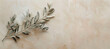 a olive branch on a light beige background, in the style of conceptual minimalist sculpture, aerial view, silver and pink, impressive panoramas, photobashing, exotic birds, minimalist: spare simplicit