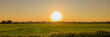 Idyllic panoramic view of a tropical rice field under a radiant sunset sky, perfect for backgrounds with ample copy space for text