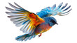 Captivating flights, feathered symphony, avian beauty celebrated exquisitely. This png file on a transparent background. 