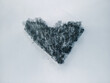 Heart-shaped trees located among snowy winter fields - Grove of Love (Zagajnik Miłości)