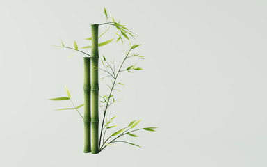 Green natural bamboo plant background, 3d rendering.