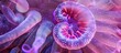 This close-up view showcases the vibrant colors of a purple and pink flower tube sea anemone, a tropical sea creature found in the Indo Pacific region. The intricate details of the tentacles and body