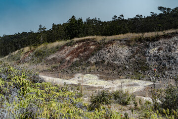 At Ha'akulamanu (Sulphur Banks), volcanic gases seep out of the ground, along with ground water steam. Hawaiʻi Volcanoes National Park.