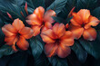 Four Hibiscus beautiful flowers with green leaves as wallpaper. Selective focus. 