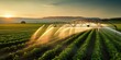 agricultural irrigation as sprinklers nourishes the fertile farmland in background of beautiful sunset sky
