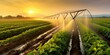 agricultural irrigation as sprinklers nourishes the fertile farmland in background of beautiful sunset sky