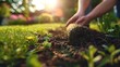 A person carefully unfolds a new sod strip in their lush garden on a prepared soil bed with a morning sunlight and a big space, Generative AI.