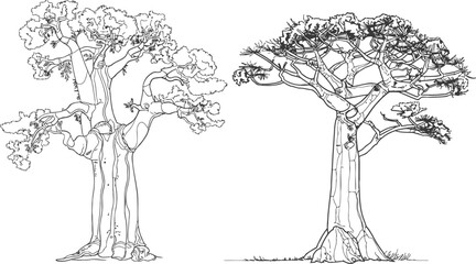 Wall Mural - Exotic Baobab tree in continuous line art drawing style