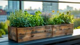 Fototapeta Tulipany - Herbs in a wooden box on the balcony in the morning. Generative AI.