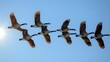 A flock of Canadian Geese, wings spread wide, navigating the heavens in V formation, a powerful display of coordination and strength, their silhouettes against the sky a natural AI Generative