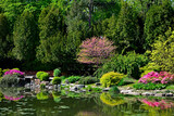 Fototapeta Kwiaty - kolorowy ogród japoński nad wodą, ogród japoński, kwitnące różaneczniki i azalie, ogród japoński nad wodą, japanese garden, blooming rhododendrons and azaleas, Rhododendron	