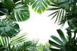 Tropical frame with exotic jungle plants, palm leaves, and space for text, isolated on white or transparent background 