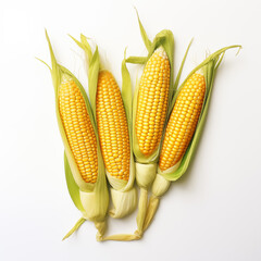 Wall Mural - corn on white background 