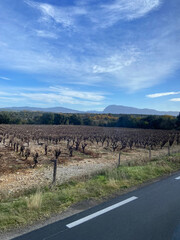 Canvas Print - Pic Saint Loup et vignes proche de Montpellier