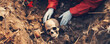 Coroner investigating a human skull on the ground. Concept of police, archeology and murder.