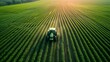 A green tractor is driving through a field of soybeans. top view