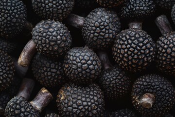 Poster - Close up of numerous gourmet black truffle mushrooms