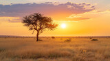 Fototapeta Sawanna - Sunset on African plains