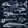 Artistic composition of multiple fish X-rays showcasing biodiversity under the sea in monochrome tones