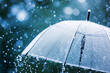 © Emanuel - Transparent umbrella under rainfall against a background of water droplets splashing. Concept of rainy weather