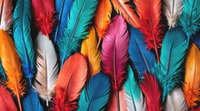 Background And Texture Of Colored Bird Feathers On The Surface. View From Above. 
