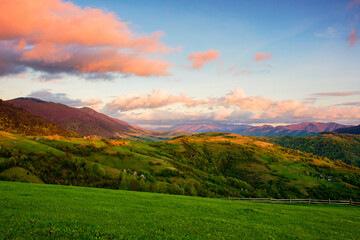 Wall Mural - carpathian countryside scenery with grassy meadows and forested hills in evening light. mountainous 