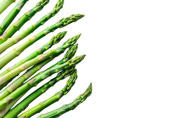 Sticker - asparagus on a white background