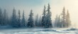 © The 2R Artificiality - A winter scene featuring a snowy landscape with dense spruce trees covered in snow, creating a serene and cold atmosphere in the foggy weather.