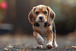 Playful beagle puppy, capturing innocence with soulful eyes, photographed using a Nikon camera for lifelike detail.