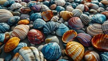 A Group Of Colorful Shells On A Beach