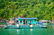 Famous floating fishing villages of Vietnam